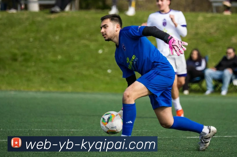 开元棋牌平台生态图