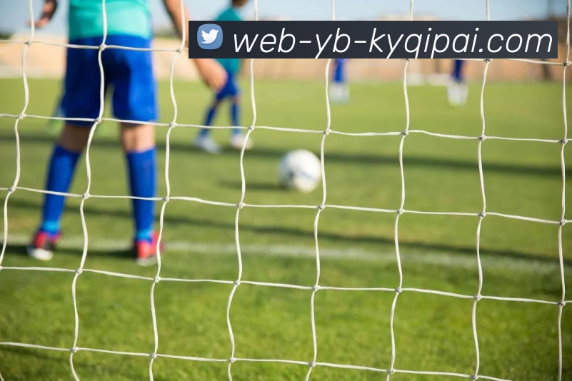 开元棋牌APP 封面图